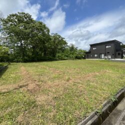 自然の緑で癒される住まいを作る事ができます。外観
